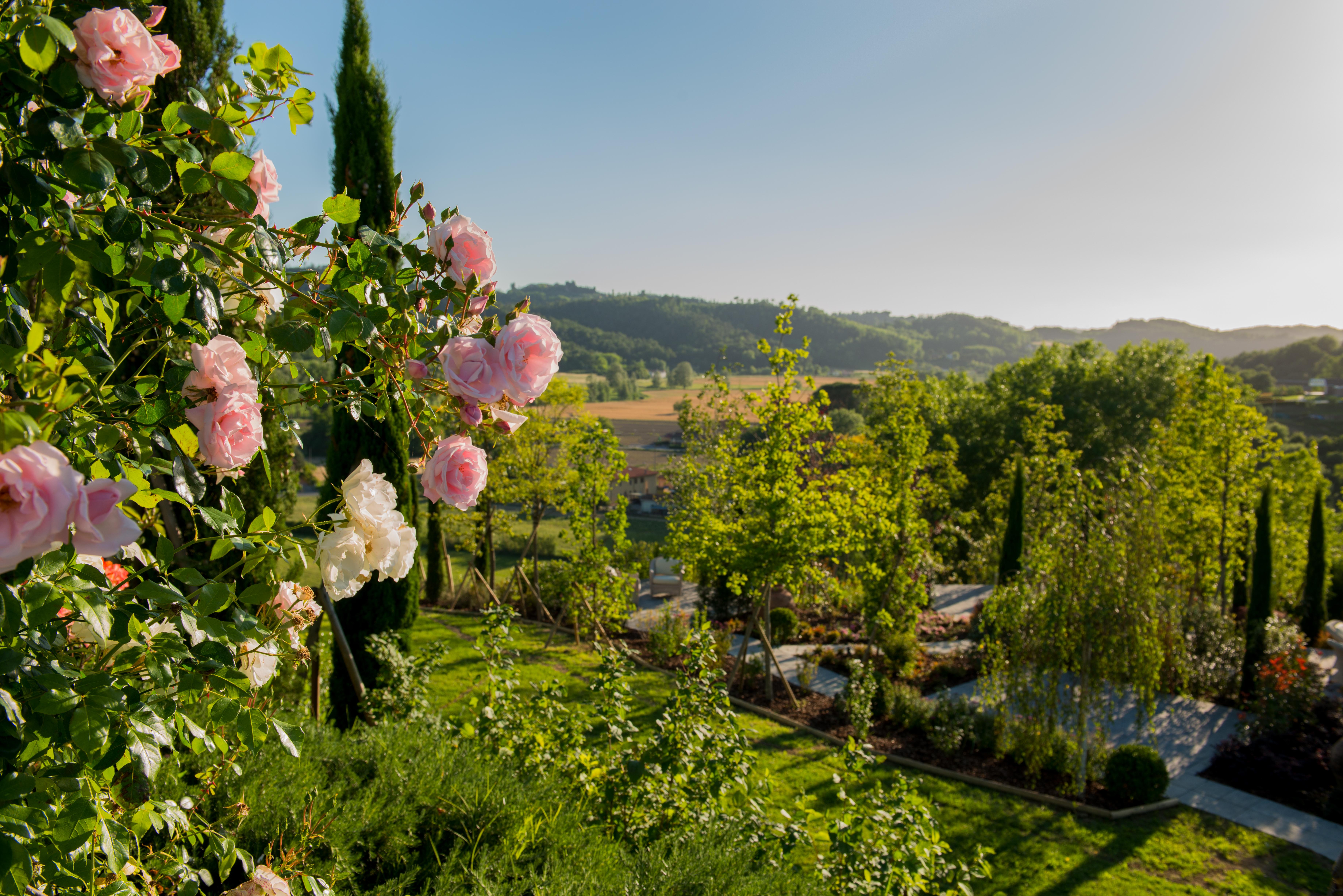 Relais Sassa Al Sole Ξενοδοχείο Σαν Μινιάτο Εξωτερικό φωτογραφία